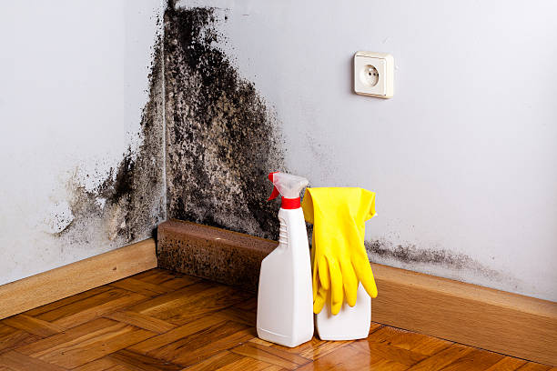 Water Damage Restoration in Mascoutah, IL